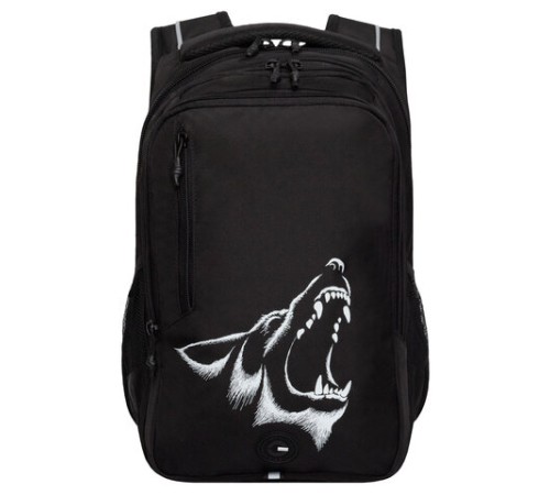 Рюкзак GRIZZLY школьный, анатомическая спинка, 3 отделения, для мальчиков, 