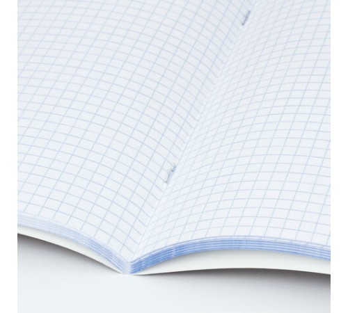 Тетрадь А4, 96 л., BRAUBERG скоба, клетка, обложка картон, 