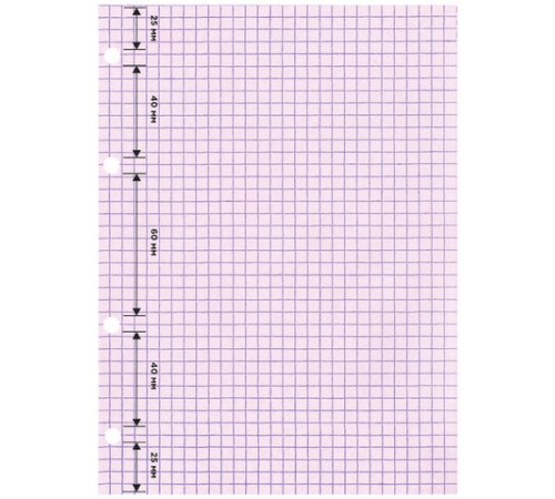 Сменный блок для тетради на кольцах, А5, 200 л., BRAUBERG, 4 цвета по 50 листов, 401661