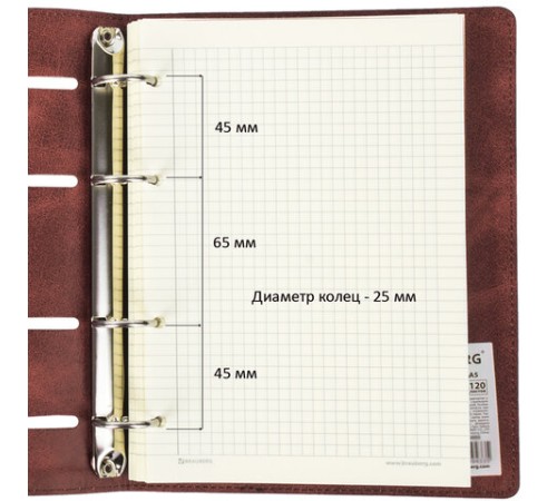 Тетрадь на кольцах А5 (180х220 мм), 120 листов, под кожу, клетка, BRAUBERG 