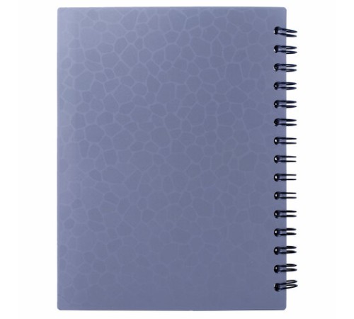 Тетрадь-блокнот 120 л., A5, 170x215 мм, BRAUBERG, линия, гребень, обложка пластиковая, 4 разделителя, 