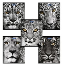 Тетрадь А5, 48 л., BRAUBERG скоба, клетка, обложка картон, ДИКИЕ И СВОБОДНЫЕ, 401810