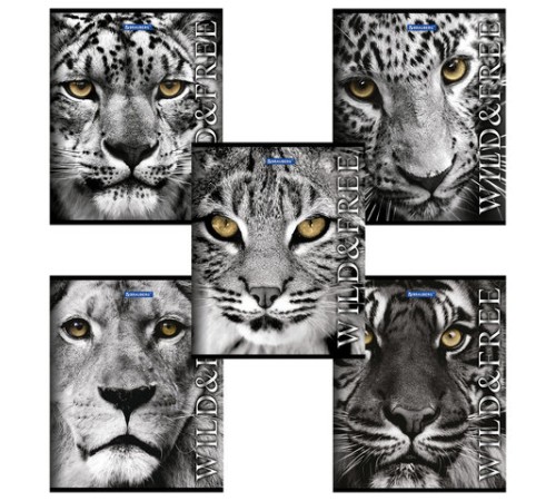 Тетрадь А5, 48 л., BRAUBERG скоба, клетка, обложка картон, ДИКИЕ И СВОБОДНЫЕ, 401810