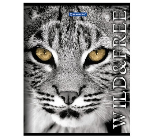 Тетрадь А5, 48 л., BRAUBERG скоба, клетка, обложка картон, ДИКИЕ И СВОБОДНЫЕ, 401810