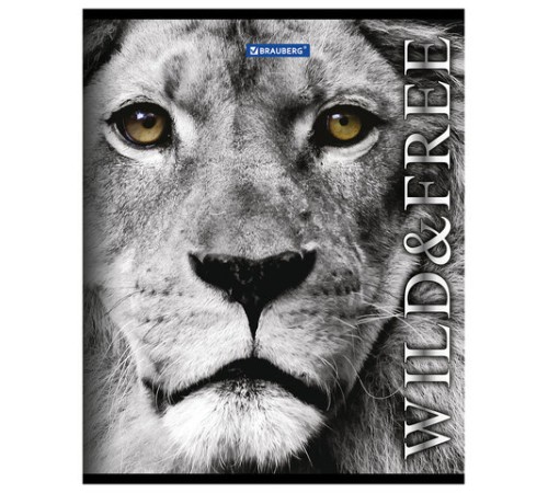 Тетрадь А5, 48 л., BRAUBERG скоба, клетка, обложка картон, ДИКИЕ И СВОБОДНЫЕ, 401810