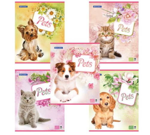 Тетрадь А5, 48 л., BRAUBERG, скоба, клетка, обложка картон, ЛЮБИМЧИКИ, 401816