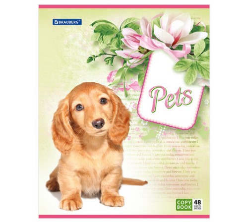 Тетрадь А5, 48 л., BRAUBERG, скоба, клетка, обложка картон, ЛЮБИМЧИКИ, 401816