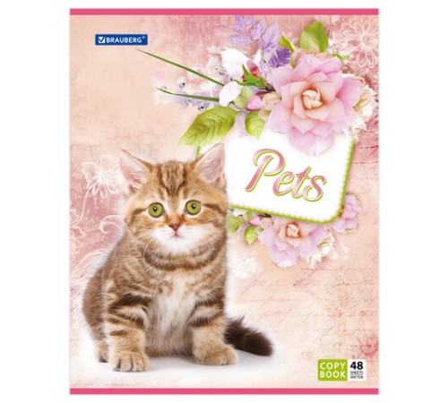 Тетрадь А5, 48 л., BRAUBERG, скоба, клетка, обложка картон, ЛЮБИМЧИКИ, 401816