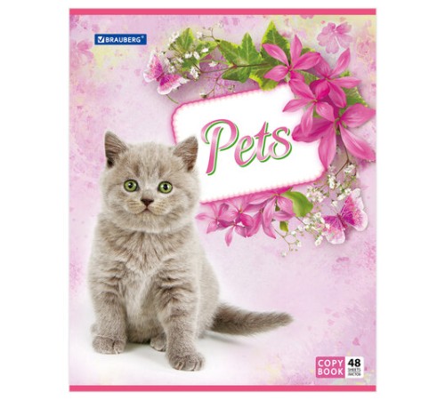 Тетрадь А5, 48 л., BRAUBERG, скоба, клетка, обложка картон, ЛЮБИМЧИКИ, 401816
