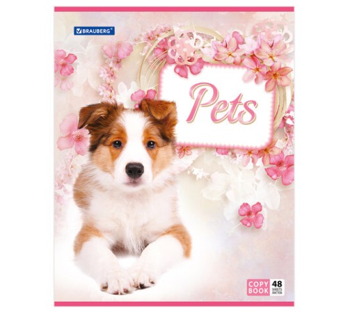 Тетрадь А5, 48 л., BRAUBERG, скоба, клетка, обложка картон, ЛЮБИМЧИКИ, 401816