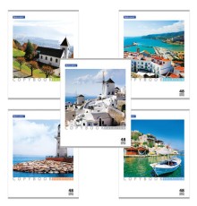 Тетрадь А5, 48 л., BRAUBERG скоба, клетка, обложка картон, КАНИКУЛЫ, 401819