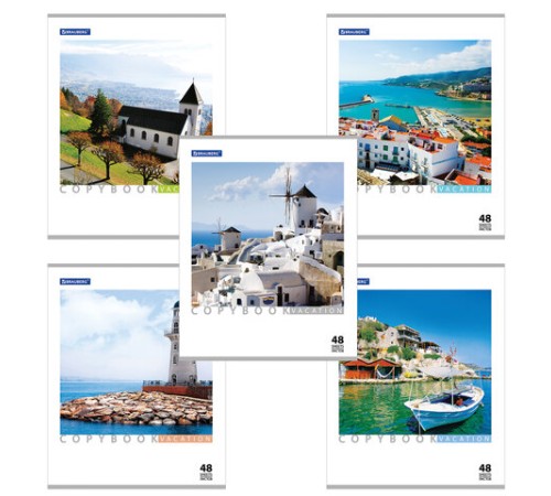 Тетрадь А5, 48 л., BRAUBERG скоба, клетка, обложка картон, КАНИКУЛЫ, 401819