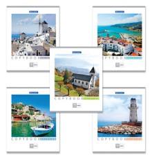 Тетрадь А5, 96 л., BRAUBERG, скоба, клетка, обложка картон, КАНИКУЛЫ, 401847