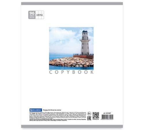 Тетрадь А5, 96 л., BRAUBERG, скоба, клетка, обложка картон, КАНИКУЛЫ, 401847