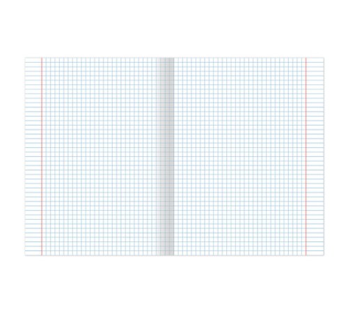 Тетрадь 24 л. BRAUBERG, клетка, обложка картон, ПОЛОСКИ, 401863