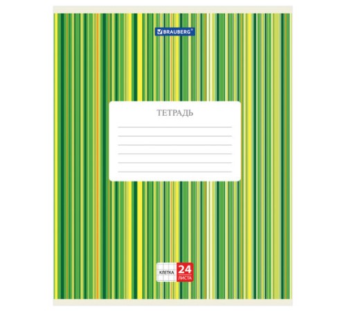 Тетрадь 24 л. BRAUBERG, клетка, обложка картон, ПОЛОСКИ, 401863