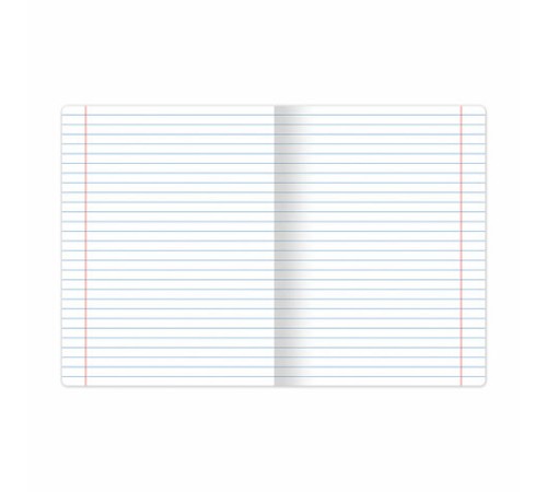 Тетрадь А5, 48 л., BRAUBERG, скоба, линия, обложка картон, В СЕТИ, 401898