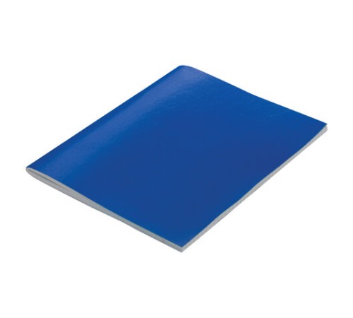 Тетрадь бумвинил А5, 96 л., скоба, офсет №2 ЭКОНОМ, клетка, с полями, STAFF, СИНИЙ, 402019