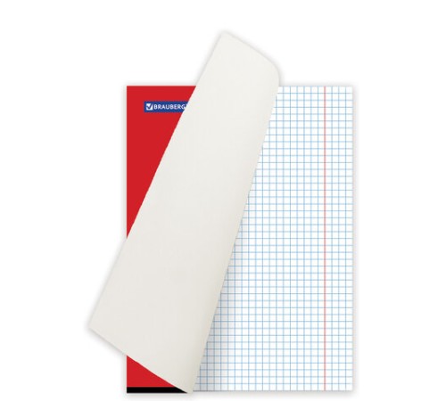 Тетрадь А5, 48 л., BRAUBERG, скоба, клетка, обложка картон, МОРДАШКА, 402045