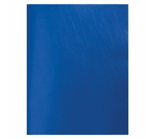 Тетрадь бумвинил, А4, 80 л., скоба, офсет №2 ЭКОНОМ, клетка, STAFF, СИНИЙ, 402649