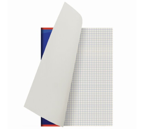 Тетрадь А4 80 л. STAFF Basic скоба, клетка, офсет №2 ЭКОНОМ, обложка картон, СТАНДАРТ, 402650