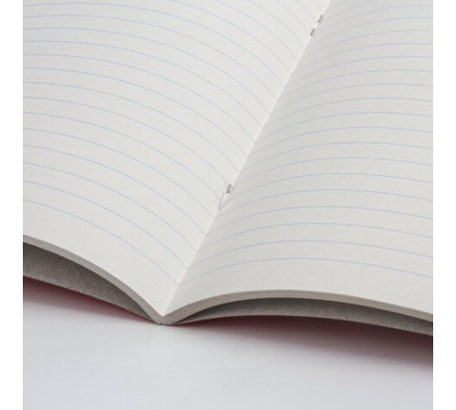 Тетрадь А5, 48 л., STAFF, скоба, линия, офсет №2 ЭКОНОМ, обложка картон, 