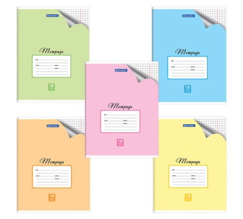 Тетрадь 18 л. BRAUBERG 