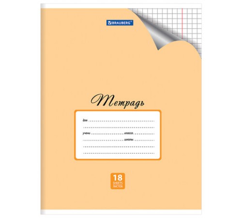 Тетрадь 18 л. BRAUBERG 