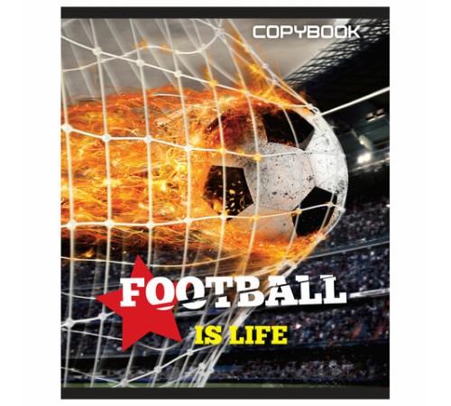 Тетрадь А5, 48 л., BRAUBERG скоба, клетка, выборочный лак, МИРОВОЙ ФУТБОЛ, 402815