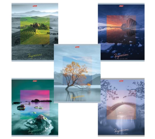 Тетрадь А5, 80 л., HATBER, скоба, клетка, обложка картон, 