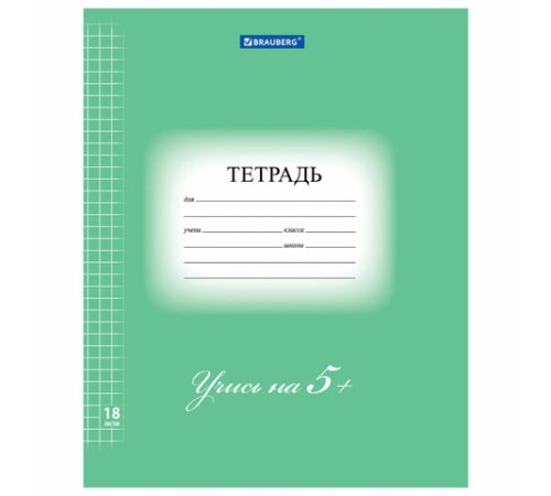Тетрадь 18 л. BRAUBERG ЭКО 