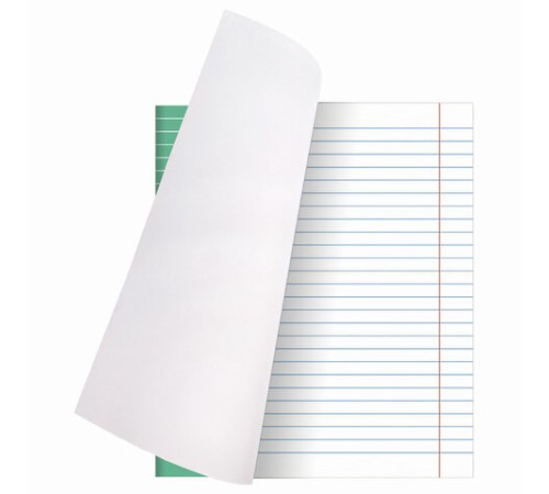 Тетрадь 24 л. BRAUBERG ЭКО 