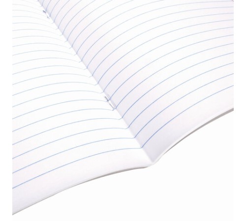 Тетрадь 24 л. BRAUBERG ЭКО 