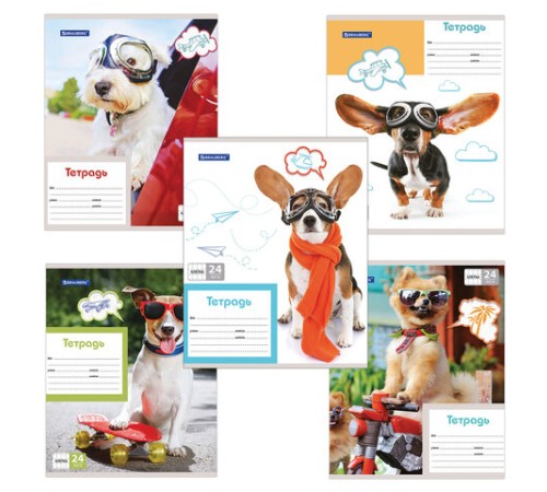 Тетрадь 24 л. BRAUBERG, клетка, обложка картон, MY BEST FRIEND, 403007