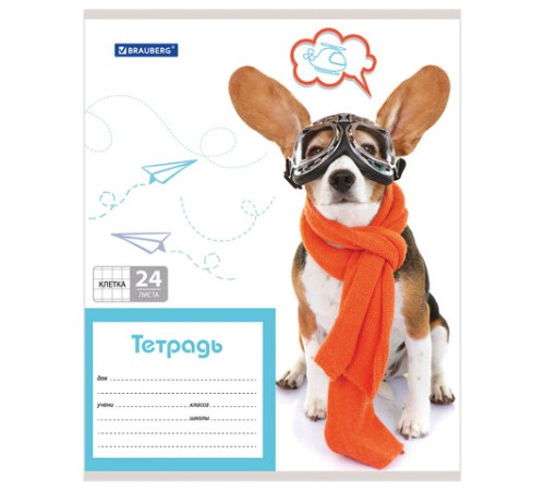 Тетрадь 24 л. BRAUBERG, клетка, обложка картон, MY BEST FRIEND, 403007