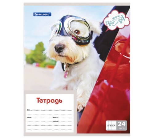 Тетрадь 24 л. BRAUBERG, клетка, обложка картон, MY BEST FRIEND, 403007
