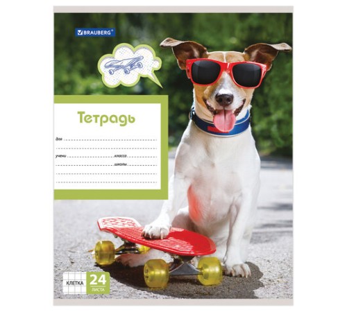 Тетрадь 24 л. BRAUBERG, клетка, обложка картон, MY BEST FRIEND, 403007