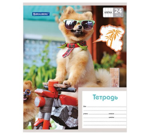 Тетрадь 24 л. BRAUBERG, клетка, обложка картон, MY BEST FRIEND, 403007