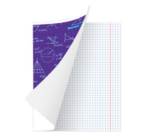 Тетрадь 24 л. BRAUBERG, клетка, обложка картон, ЧЕРТЕЖИ И ФОРМУЛЫ, 403008