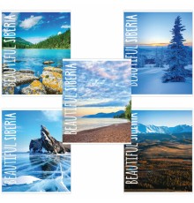 Тетрадь А5, 48 л., BRAUBERG, скоба, клетка, обложка картон, ПРИРОДА, 403031