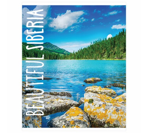 Тетрадь А5, 48 л., BRAUBERG, скоба, клетка, обложка картон, ПРИРОДА, 403031