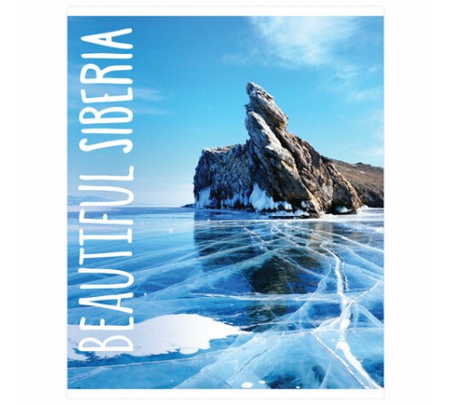 Тетрадь А5, 48 л., BRAUBERG, скоба, клетка, обложка картон, ПРИРОДА, 403031