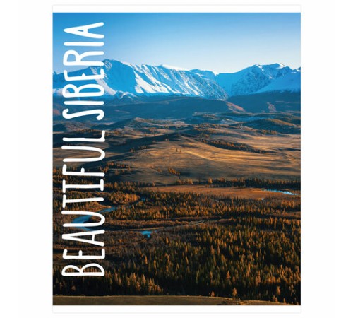 Тетрадь А5, 48 л., BRAUBERG, скоба, клетка, обложка картон, ПРИРОДА, 403031