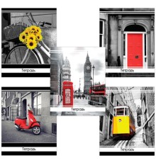 Тетрадь А5, 48 л., BRAUBERG скоба, клетка, обложка картон, АКЦЕНТ, 403032