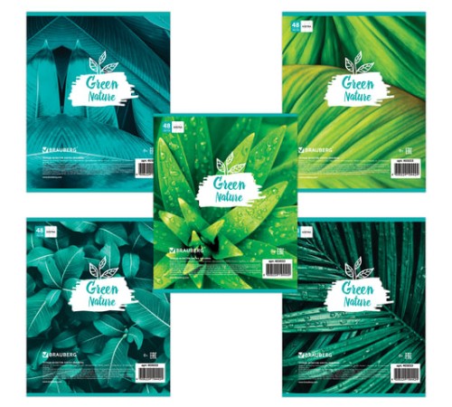 Тетрадь А5, 48 л., BRAUBERG скоба, клетка, обложка картон, GREEN NATURE, 403033