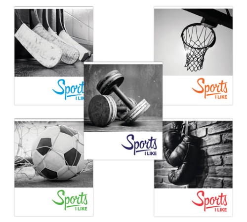 Тетрадь А5, 48 л., BRAUBERG, скоба, клетка, обложка картон, СПОРТ, 403035