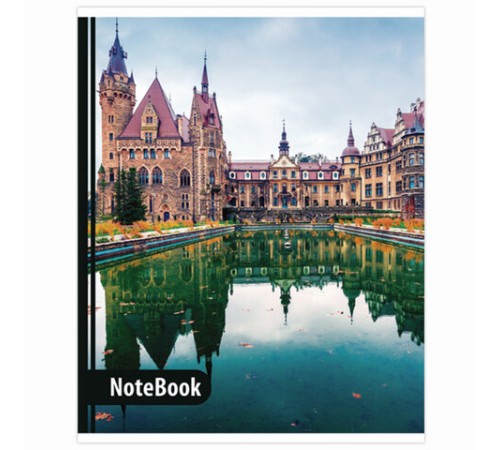 Тетрадь А5, 48 л., BRAUBERG, скоба, линия, обложка картон, МИКС, 403040