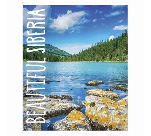 Тетрадь А5, 48 л., BRAUBERG, скоба, линия, обложка картон, МИКС, 403040