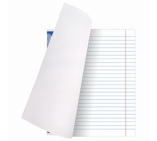 Тетрадь А5, 48 л., BRAUBERG, скоба, линия, обложка картон, МИКС, 403040