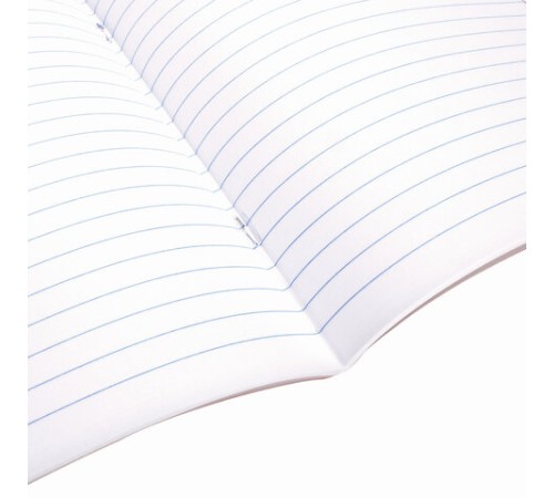 Тетрадь А5, 48 л., BRAUBERG, скоба, линия, обложка картон, МИКС, 403040